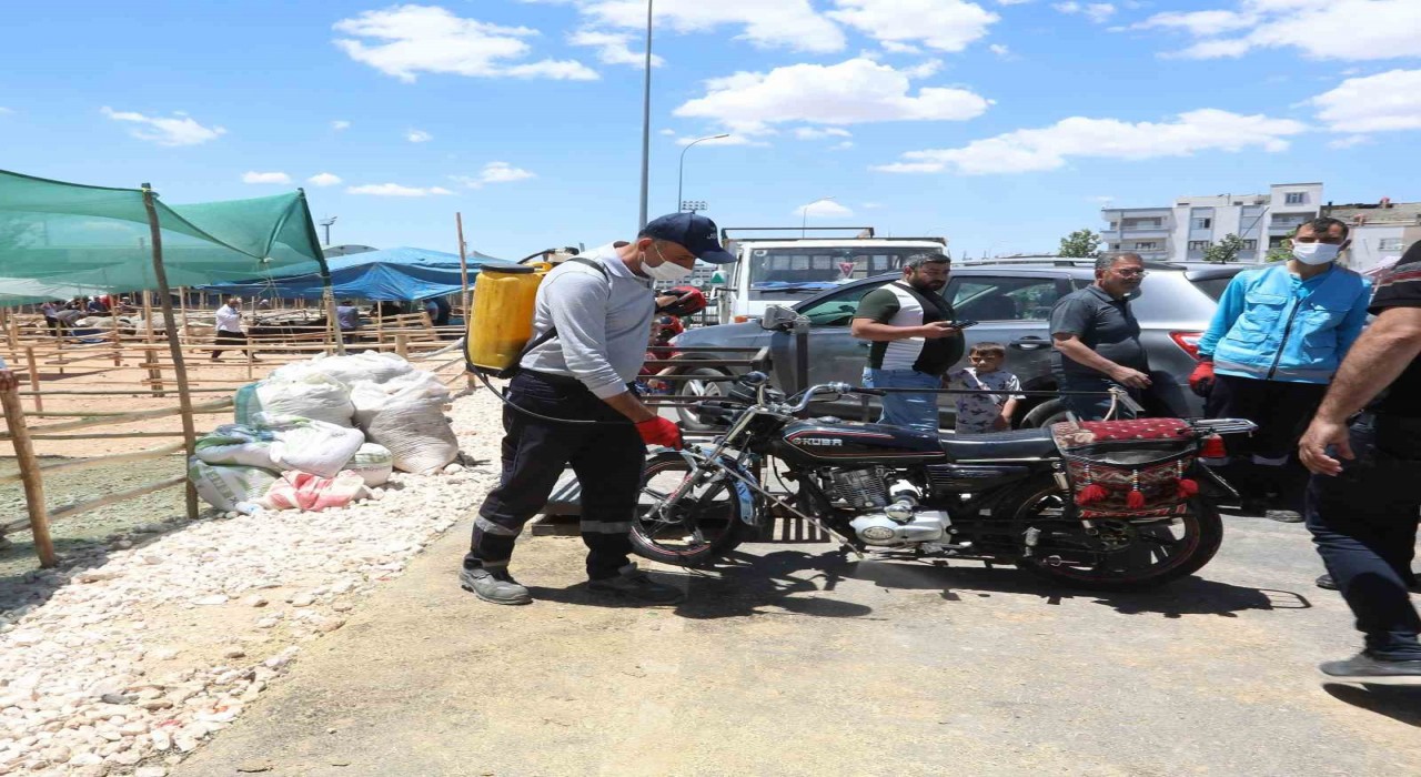 Büyükşehirden kurban denetimi ve temizlik seferberliği