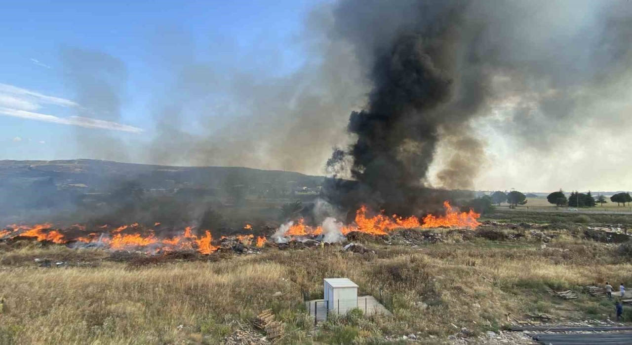 Çanakkalede korkutan yangın