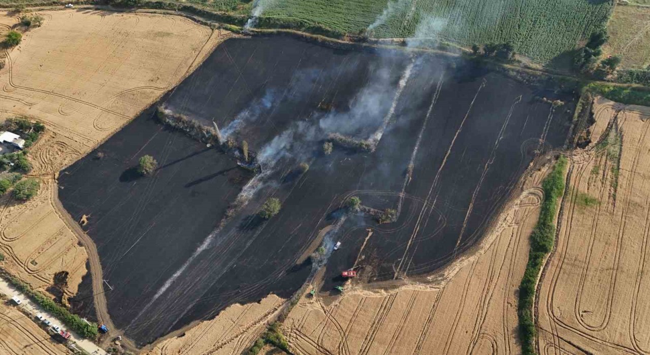 Çanakkalede tarım arazisinde çıkan yangında 50 dönüm alan zarar gördü