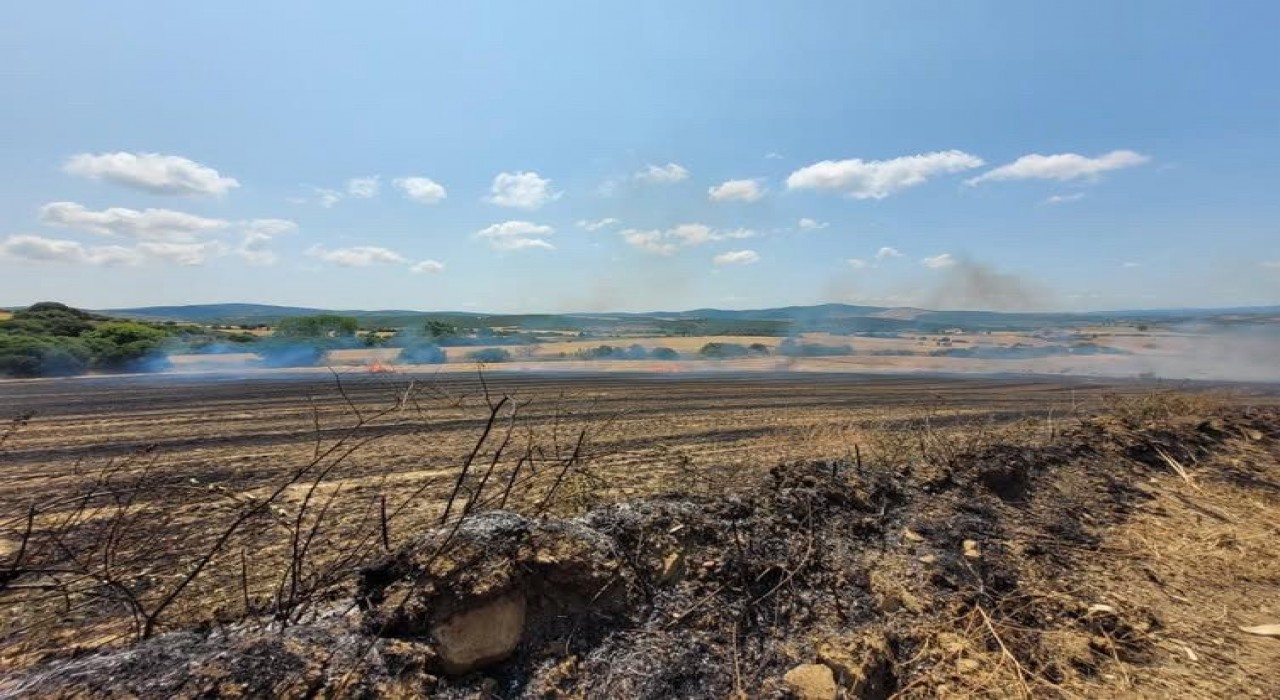 Çanakkalede tarım arazisinde yangın