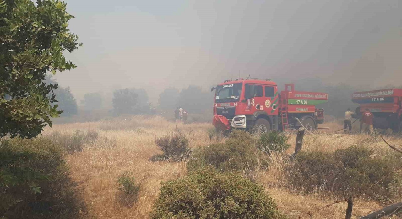Çanakkalede tarım arazisinde yangın