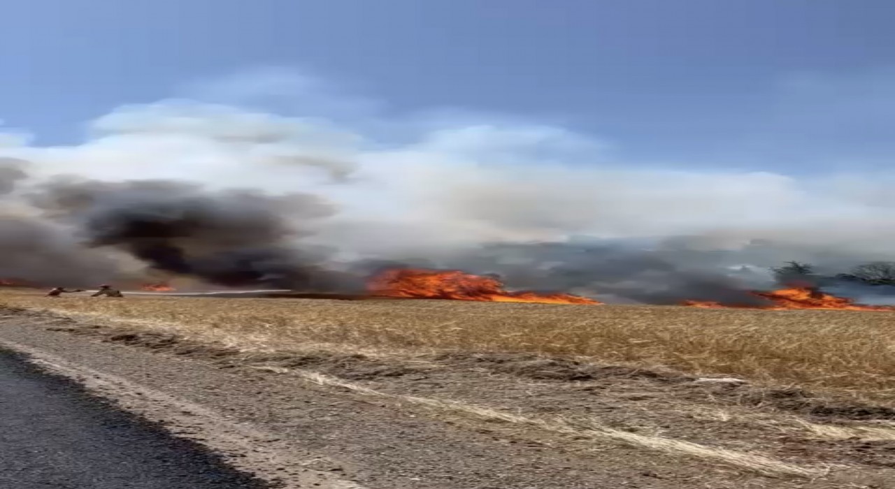 Çanakkalede tarım arazisinde yangın çıktı