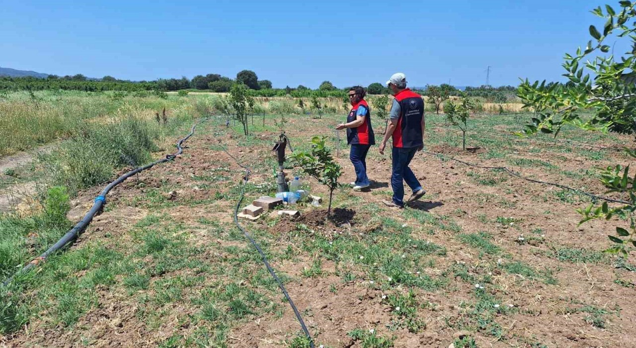 Çanakkalede tarımsal sulama elektrik aboneliği olan tarım arazileri denetleniyor