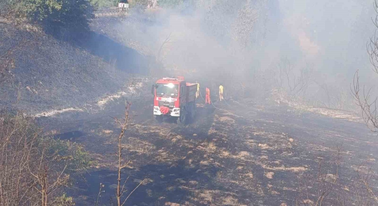 Çanda tarım arazisinde yangın çıktı