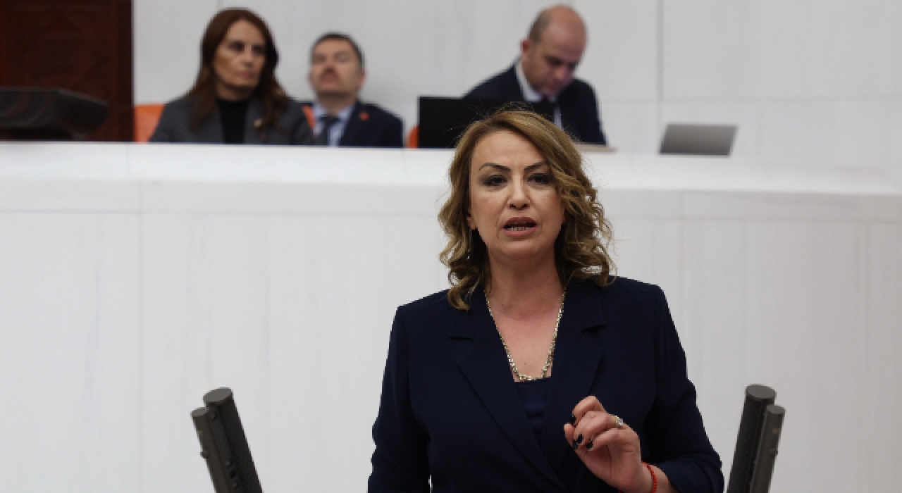CHP’li Kara’dan İklim Kanunu’na Sert Eleştiri