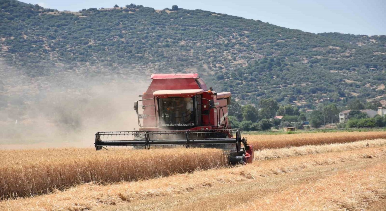 Çiftçilerden hayvan üreticilerine kritik uyarı: Elinizi Çabuk Tutun