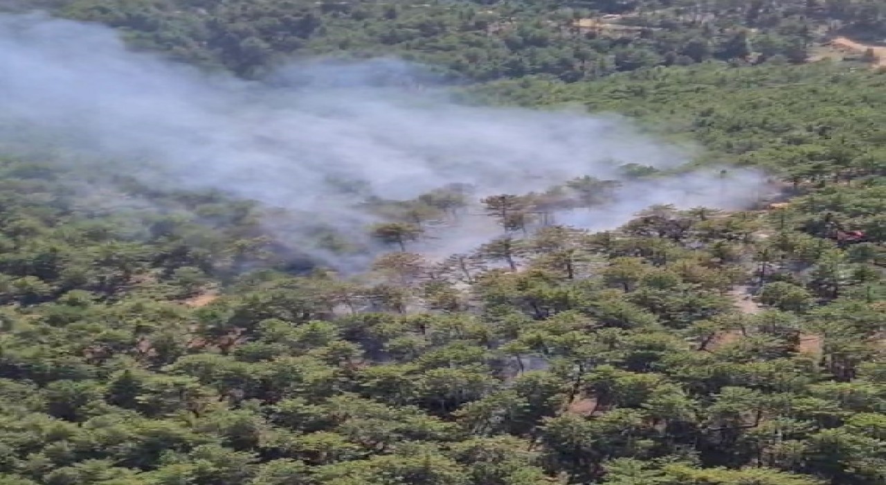 Çivrildeki orman yangınında 2 hektar alan zarar gördü