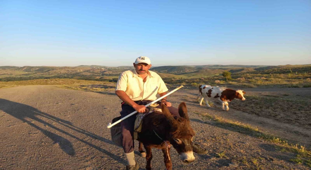 Çobanlık kıymete bindi