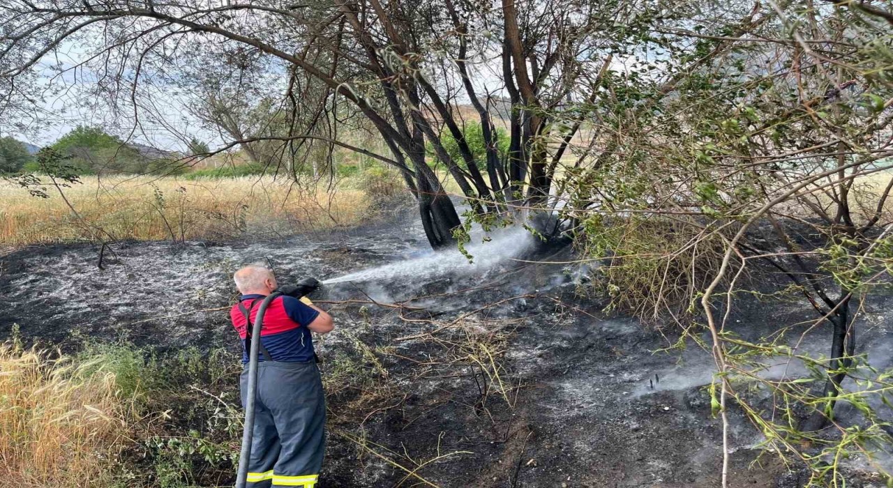 Çorumda arazi yangını