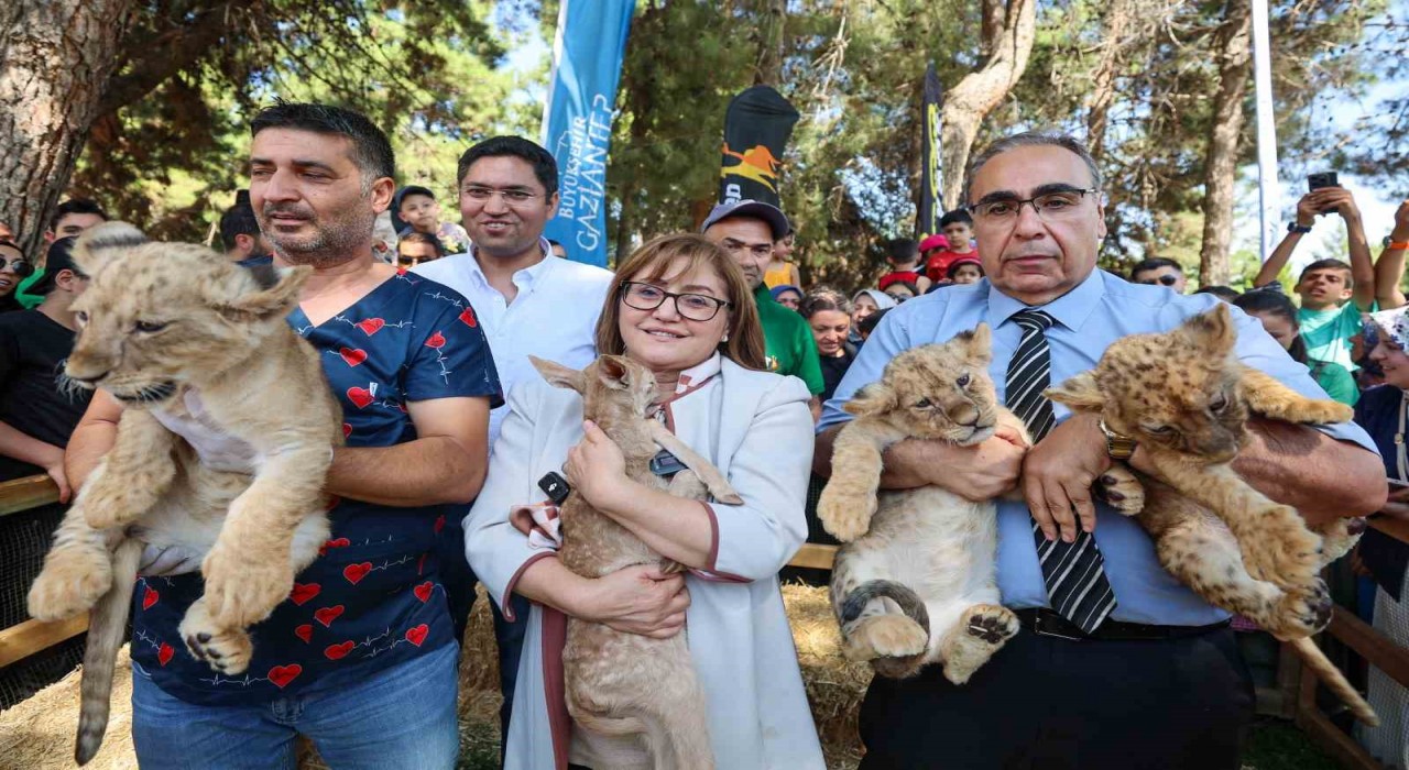 Cumhurbaşkanı Erdoğana hediye edilen aslanların üç yavrusu doğdu
