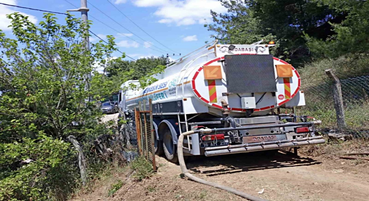 Dağyenicede 25 dönüm küle döndü