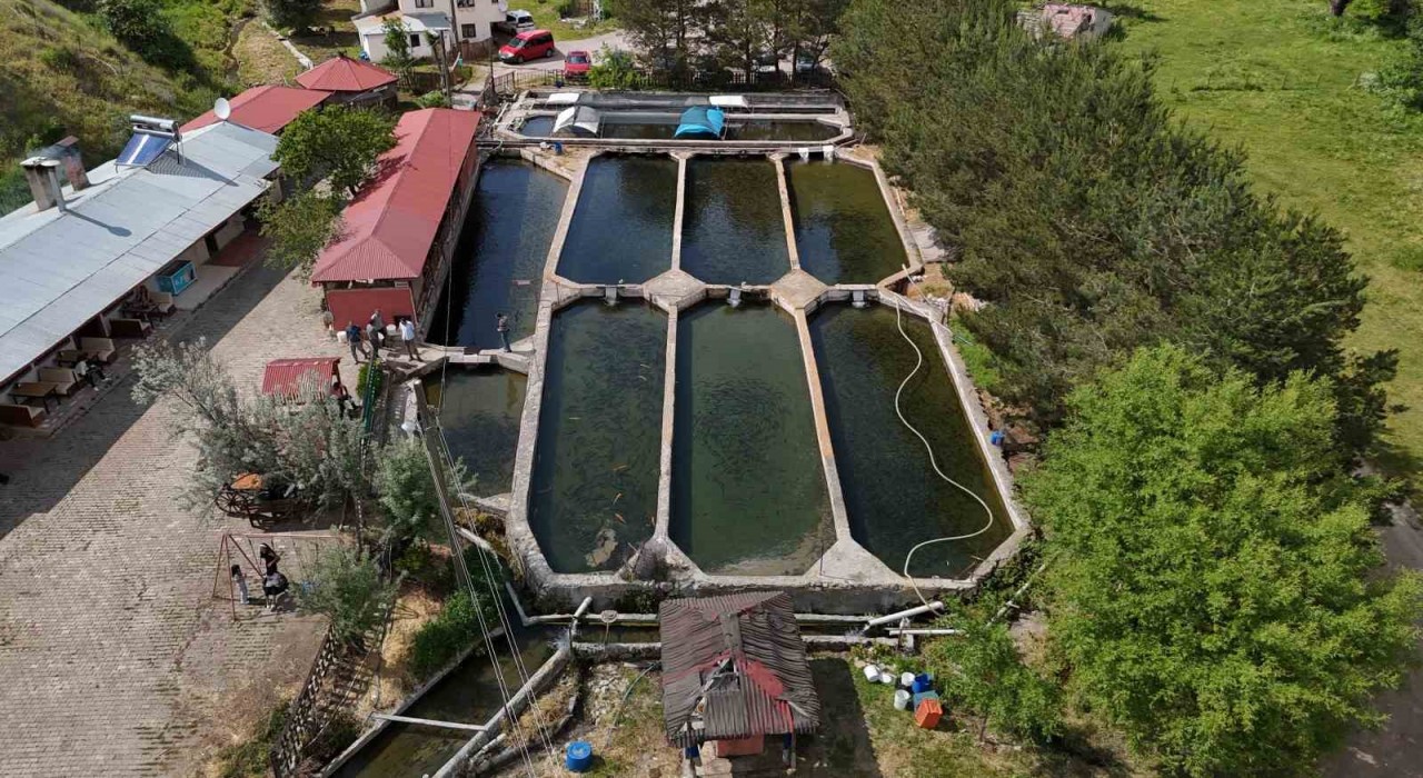 Denize kıyısı olmayan Sivasta üretilen balıklar dünyaya pazarlanıyor