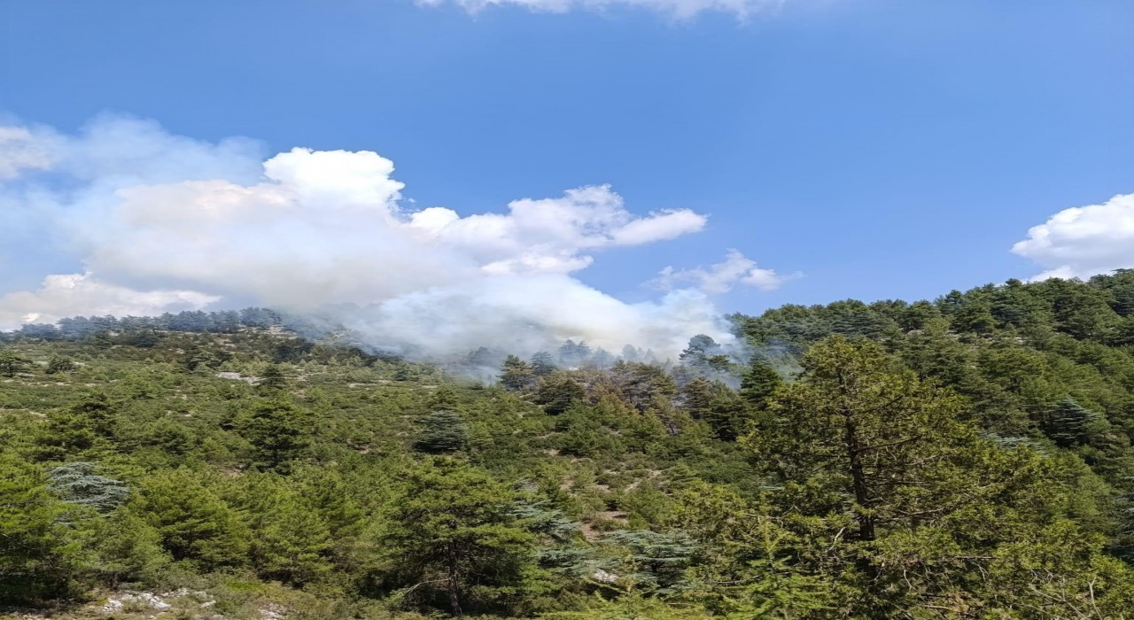 Denizlide yıldırım düşmesi sonucu 2 ayrı noktada yangın çıktı