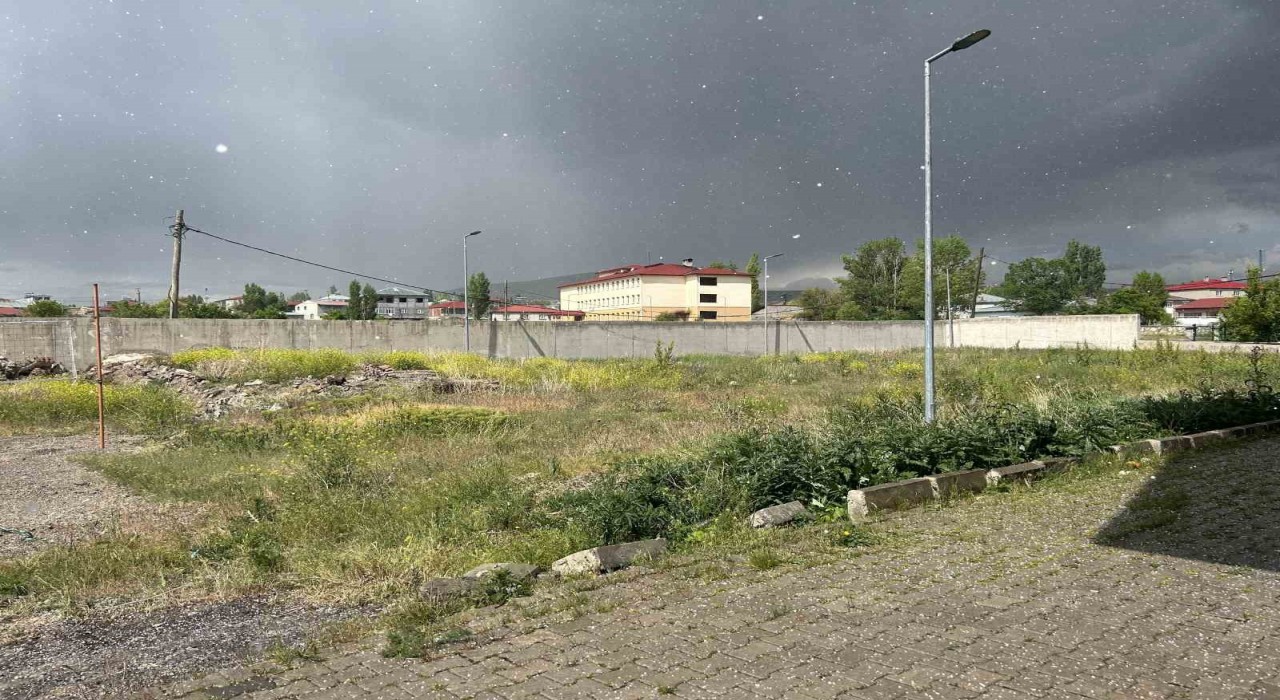Diyadinde dolu yağışı