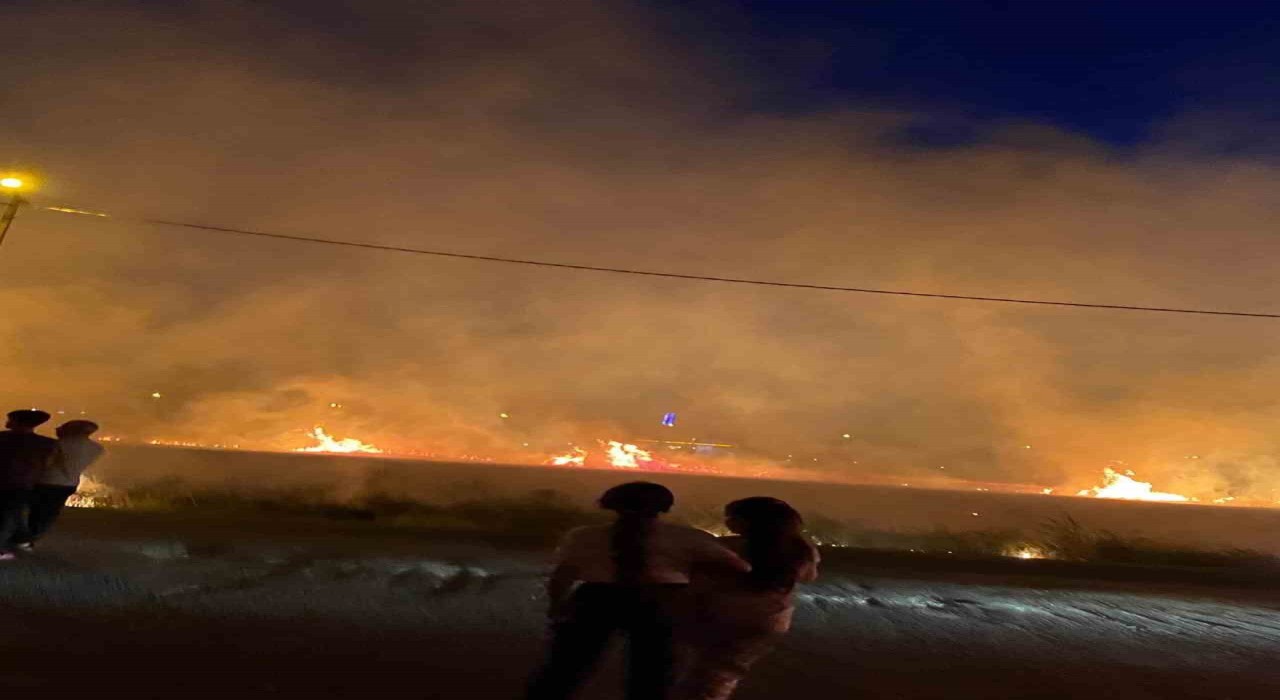 Diyarbakırda 40 dönüm buğday yangında küle döndü