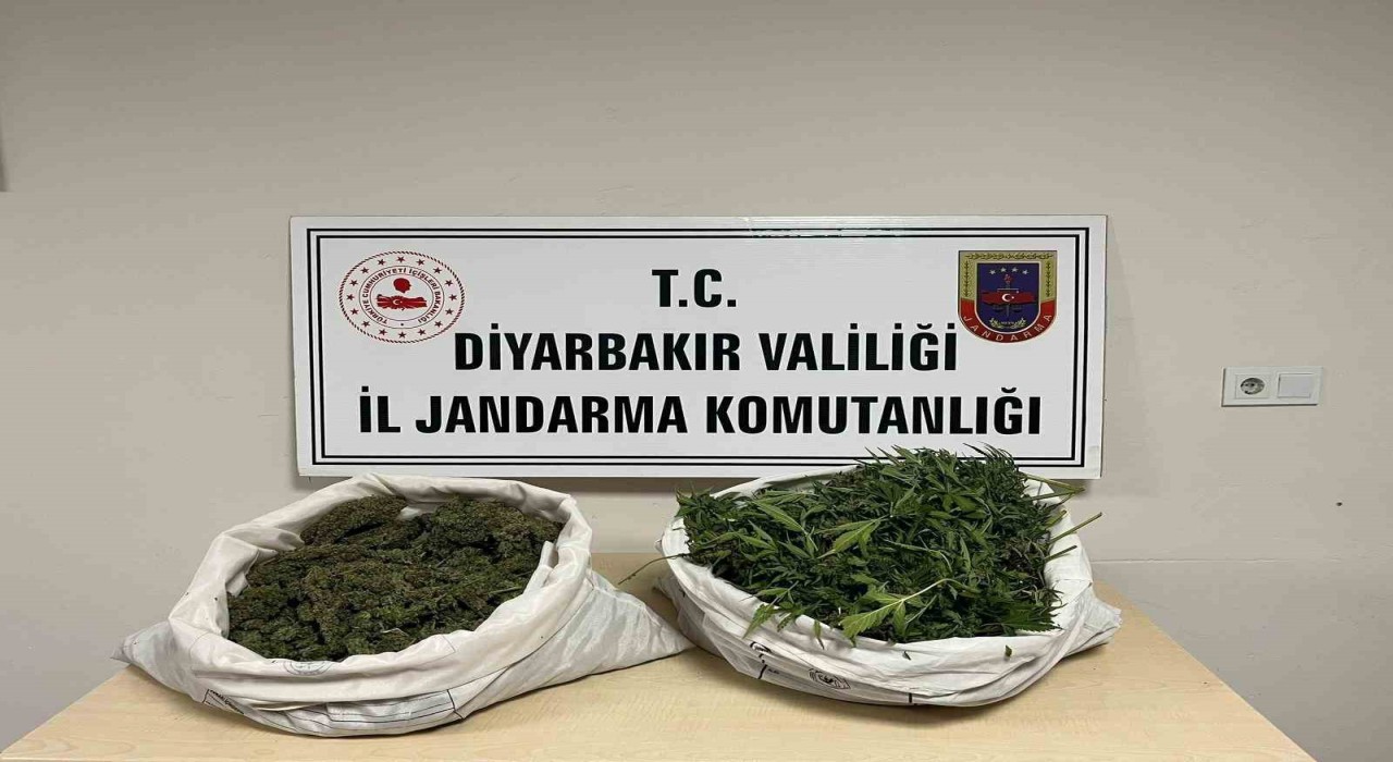 Diyarbakırda 8 kilo esrar ele geçirildi