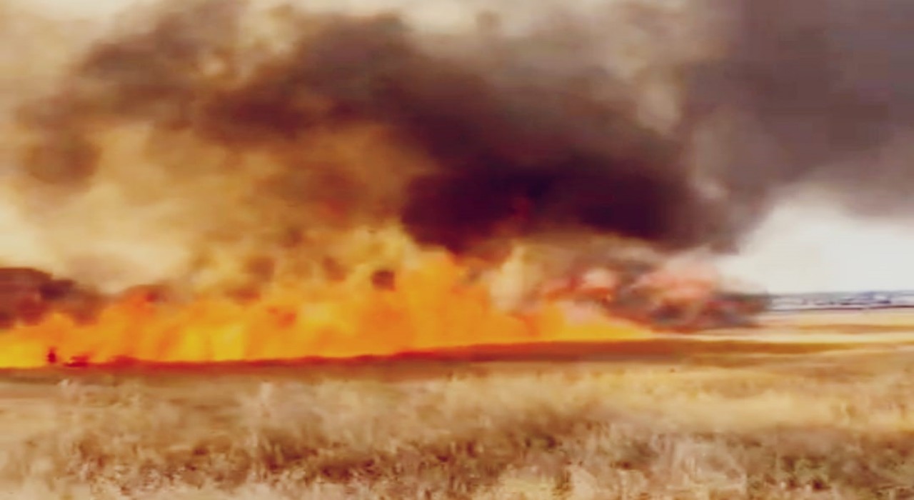 Diyarbakırda biçilmemiş 30 dönüm buğday yangında kül oldu