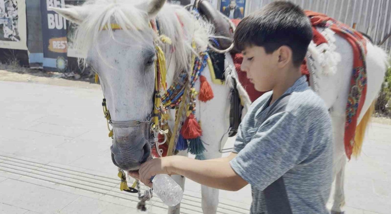 Diyarbakırda kavurucu sıcaklardan dolayı tarihi mekanlar boş kaldı