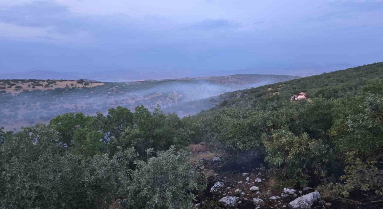 Diyarbakırda örtü yangını