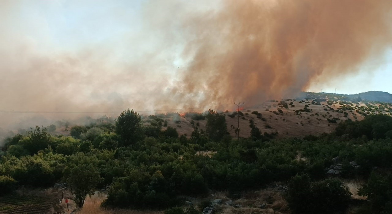 Diyarbakırda örtü yangını
