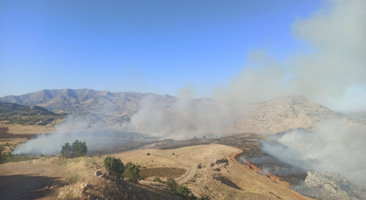 Diyarbakırda yaylada örtü yangını