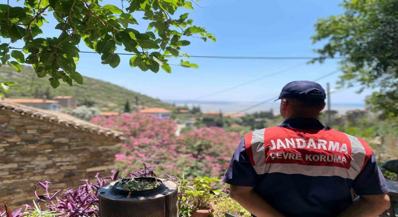 Doğanbeyde orman yangınlarına dikkat çekildi