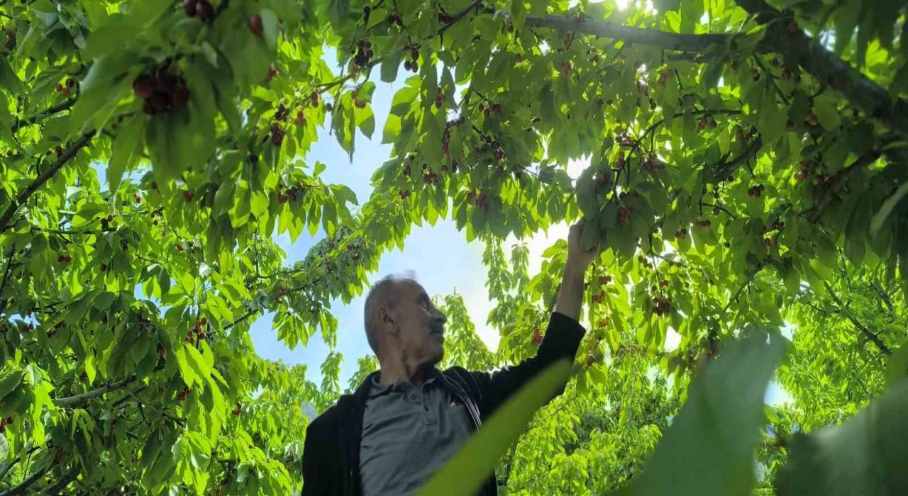 Doğayla iç içe lezzetli bir deneyim