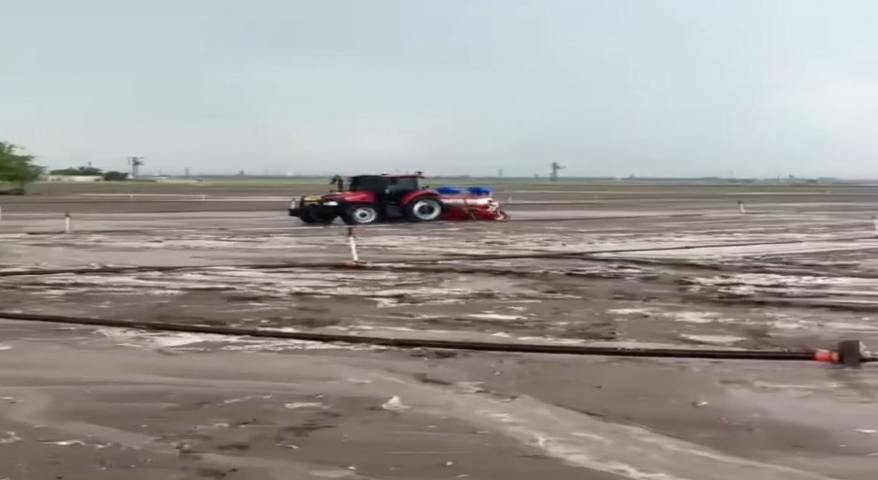 Dolu yağışı ekili alanlara zarar verdi