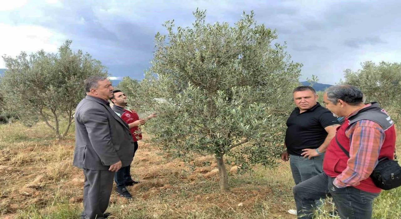Dolunun vurduğu Esençayda hasar tespiti yapıldı