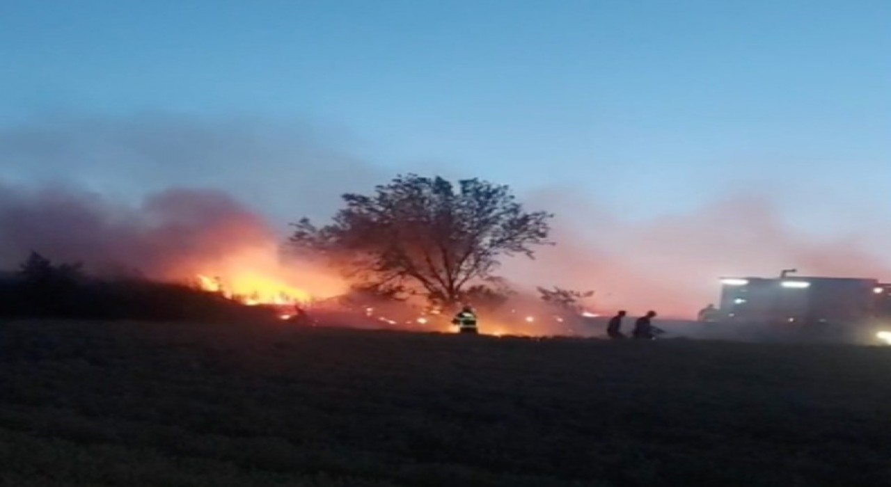 Düğünde atılan havai fişek buğday tarlasını küle çevirdi
