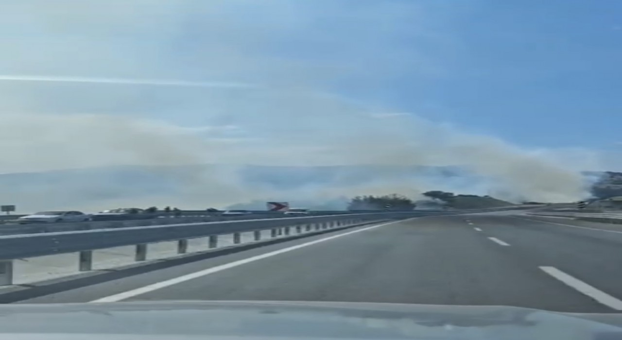Dursunbeyde orman yangını çıktı