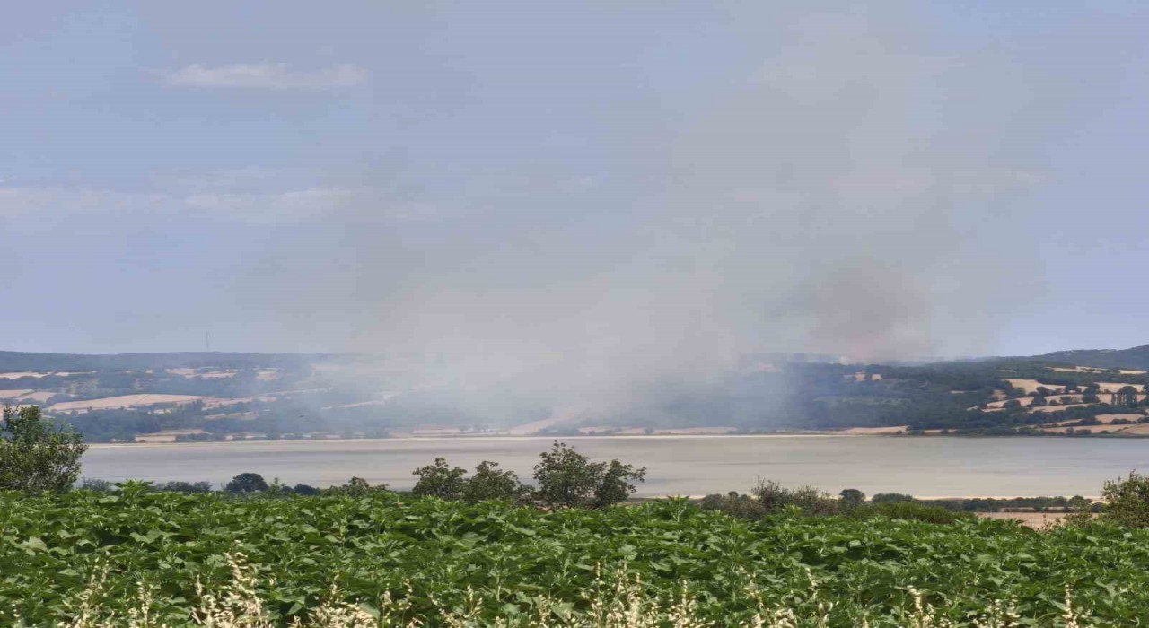 Edirnede orman yangını kontrol altına alındı