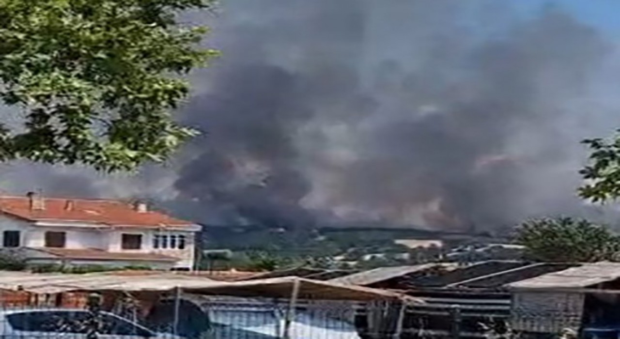 Edirnede orman yangınına havadan ve karadan müdahale ediliyor