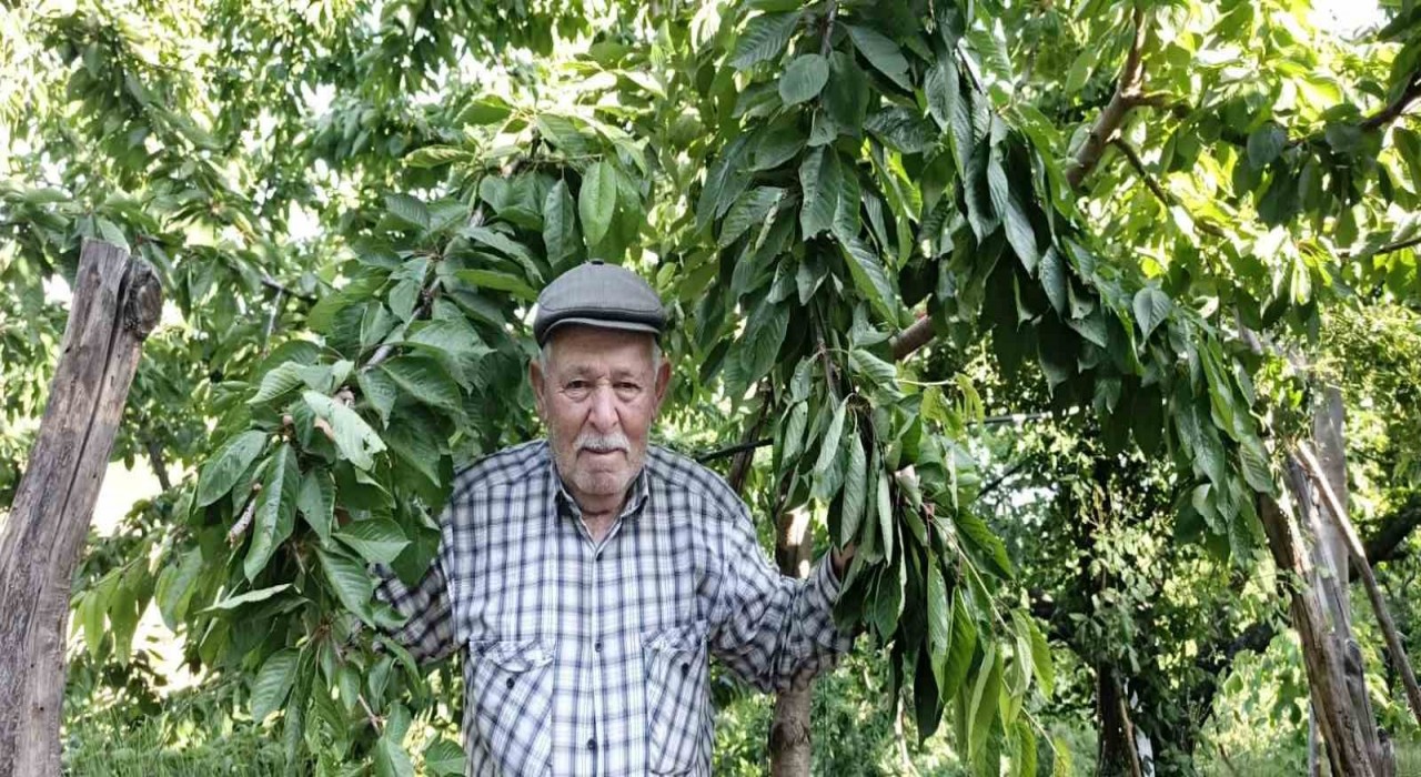 Ege bu yıl meyveye hasret