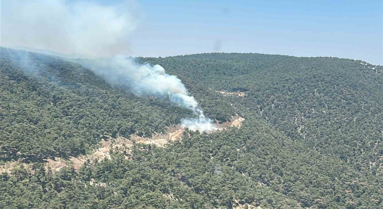 Ekipler orman yangını için seferber oldu