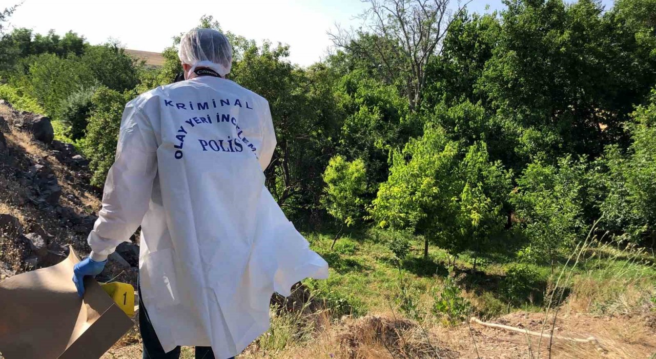 Elazığda ağaca asılı halde erkek cesedi bulundu