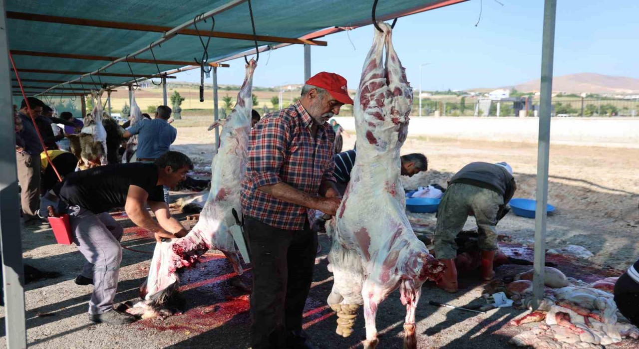 Elazığda bayram namazını kılan vatandaşlar, kurbanlarını kesti