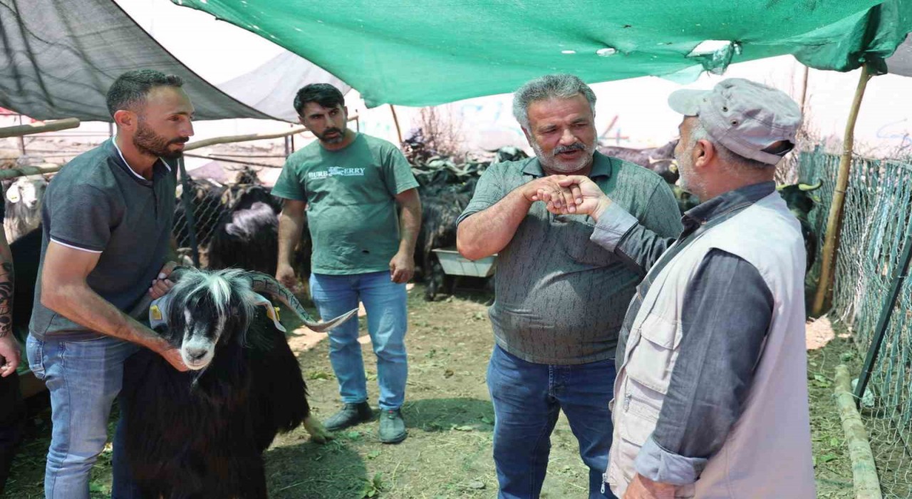 Elazığda kol kıran pazarlıklar sürüyor