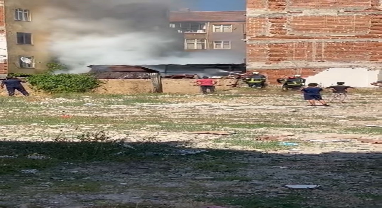 Elazığda odunluk yangını söndürüldü