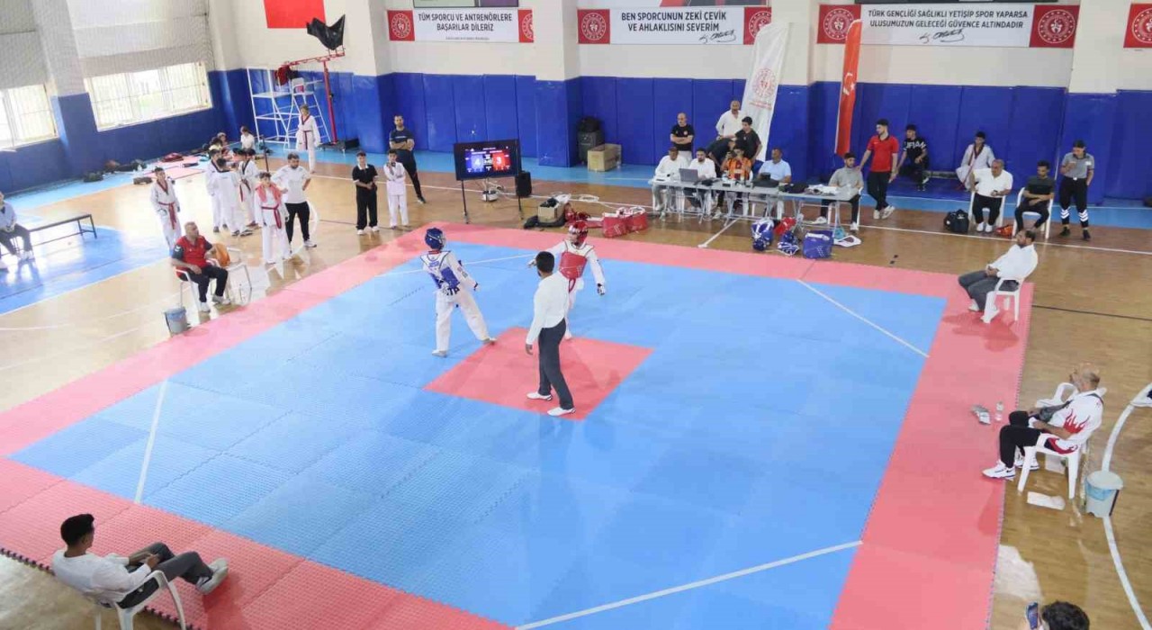 Elazığda taekwondo heyecanı