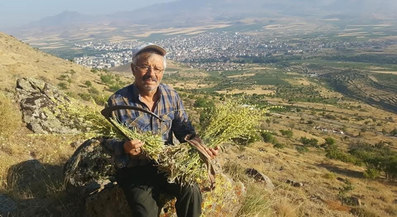 Erciyesten gelen şifa kaynağı: Karakovan Balı