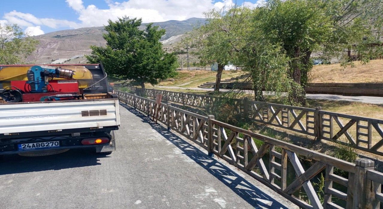 Erzincanda uçkun ilaçlaması başlıyor
