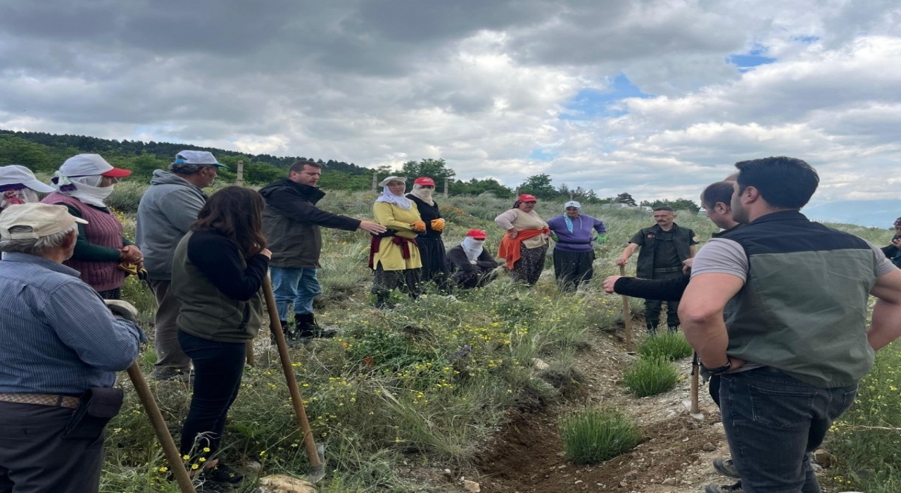 Erzincanda yeşil vatana kadın eli değiyor