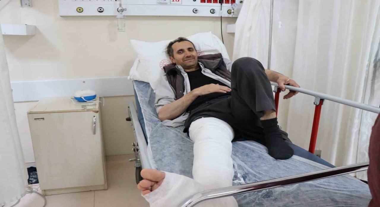 Erzurumda üzerine kurbanlık düşen adamın ayağı kırıldı