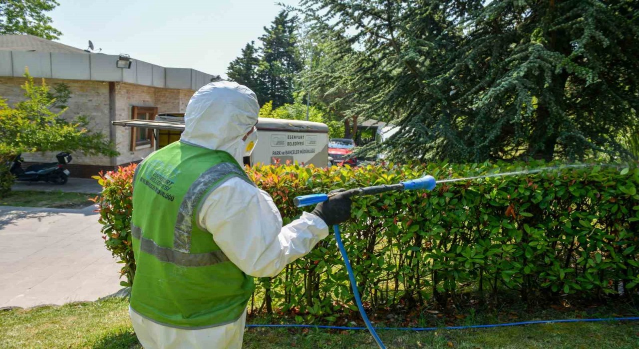Esenyurtta haşerelere karşı kapsamlı mücadele