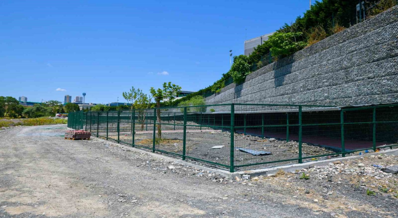 Esenyurtta sokak hayvanları için modern barınak