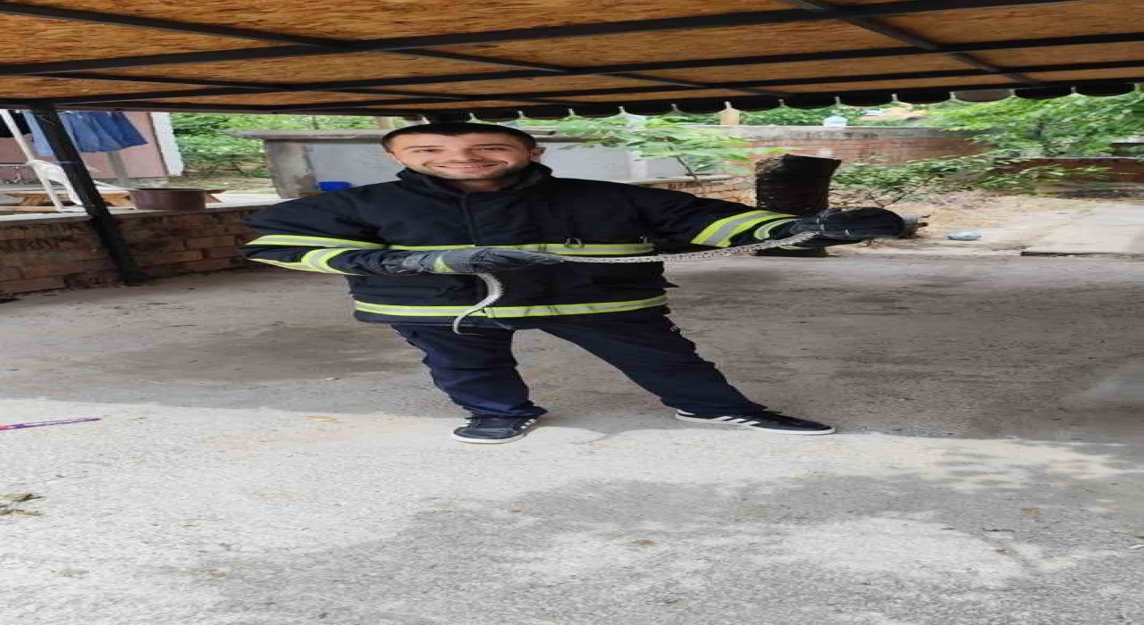 Eve giren yılan itfaiyeyi seferber etti.