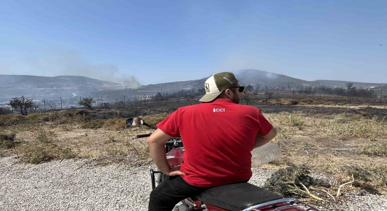 Foça yangınında alevler evlerin bahçelerine kadar yaklaştı