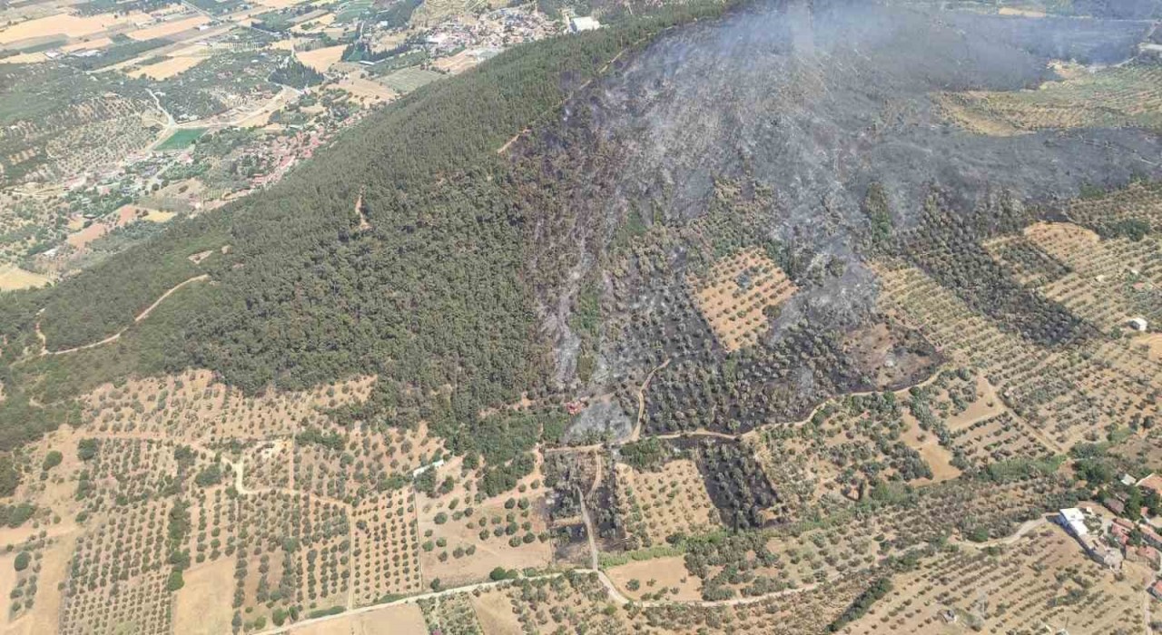 Foçada ormanlık alanda çıkan yangın kontrol altında