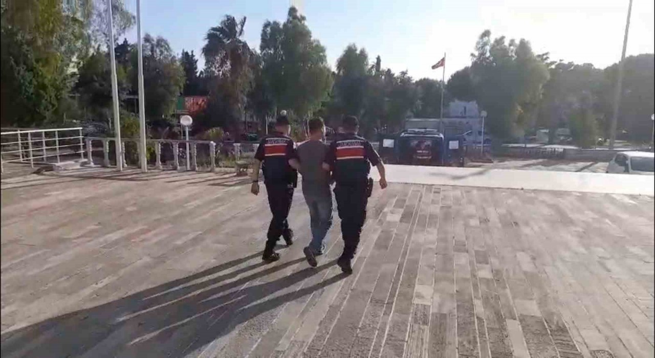 Foçadaki orman yangınıyla ilgili 1 tutuklama